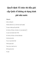Quyết định Tổ chức thi đấu giải cấp Quốc tế không sử dụng kinh phí nhà nước doc