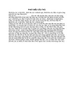 PHAT BIEU CAU THU .NHAN TUAN LE TOAN CAU