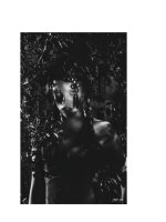 Studio Photography Essential Skills, 4th Edition P18 pps