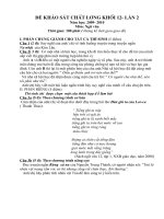 Đề khảo sát chất lượng môn văn 12