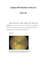 Chapter 029. Disorders of the Eye (Part 10) potx