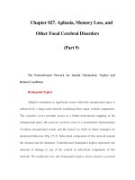 Chapter 027. Aphasia, Memory Loss, and Other Focal Cerebral Disorders (Part 9) ppt