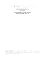 Resource Quality- Agricultural Productivity and Food Security ppsx