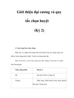 Giới thiệu đại cương và quy tắc chọn huyệt (Kỳ 2) potx