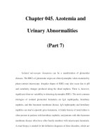 Chapter 045. Azotemia and Urinary Abnormalities (Part 7) pptx