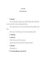 Mỹ thuật lớp 4 - Vẽ tranh - Đề tài sinh hoạt pot