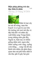 Biện pháp phòng trừ sâu đục thân lá nhãn pptx