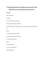 Cấp giấy phép thầu cho nhà thầu nước ngoài là tổ chức nhận thầu các gói thầu thuộc dự án nhóm B, C pptx