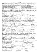 De cuong on tot nghiep(Muoi)_Dung da doi