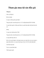 Tham gia mua tài sản đấu giá pps