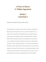 A Prince of Sinners E. Phillips Oppenheim BOOK 3 CHAPTER 3 pdf