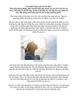 Cách phơi nắng có lợi cho sức khỏe