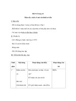 Mỹ thuật lớp 2 - Vẽ trang trí - Màu sắc, cách vẽ mà vào hình có sẵn pptx