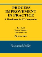 process improvement in practice a handbook for it companies