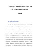 Chapter 027. Aphasia, Memory Loss, and Other Focal Cerebral Disorders (Part 6) doc
