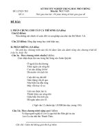 Đề luyện thi TN&ĐH-Văn (13)