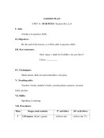 Giáo án Tiếng anh lớp 3 - LESSON PLAN UNIT 11: OUR PETS / Section B (1,2,3) pdf