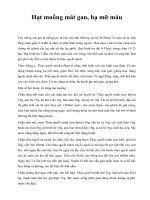 Hạt muồng mát gan, hạ mỡ máu pot