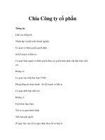 Chia Công ty cổ phần ppt