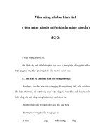 Viêm màng não lưu hành tính (viêm màng não do nhiễm khuẩn màng não cầu) (Kỳ 2) pptx