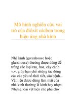 Mô hình nghiên cứu vai trò của điôxít cácbon trong hiệu ứng nhà kính pptx