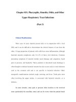 Chapter 031. Pharyngitis, Sinusitis, Otitis, and Other Upper Respiratory Tract Infections (Part 3) ppt