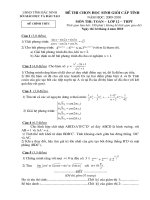 De va DA HSG Tinh Bac Ninh 2010