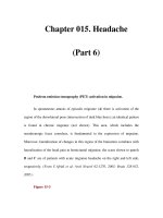 Chapter 015. Headache (Part 6) doc