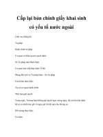 Cấp lại bản chính giấy khai sinh có yếu tố nước ngoài pdf