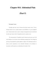 Chapter 014. Abdominal Pain (Part 5) doc