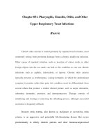 Chapter 031. Pharyngitis, Sinusitis, Otitis, and Other Upper Respiratory Tract Infections (Part 6) pot