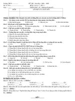 De thi HKII-2010 co DA