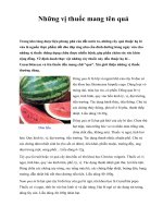 Những vị thuốc mang tên quả pdf