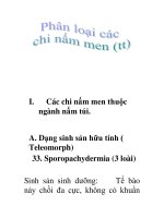 phân loại các chi nấm men (tt) potx