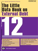 the little data book on external debt 2012