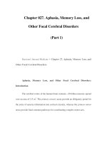 Chapter 027. Aphasia, Memory Loss, and Other Focal Cerebral Disorders (Part 1) pdf