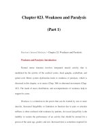 Chapter 023. Weakness and Paralysis (Part 1) pps