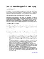 Bạn cần biết những gì về An ninh Mạng docx