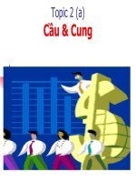 Topic 2(a): Cầu & Cung doc