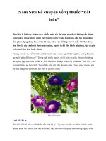 Năm Sửu kể chuyện về vị thuốc “dắt trâu” pdf