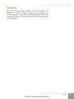 Học Actionscript 3.0 - p 3 pot