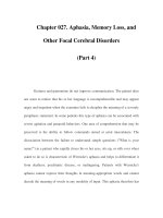 Chapter 027. Aphasia, Memory Loss, and Other Focal Cerebral Disorders (Part 4) doc