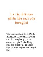Lá cây nhân tạo nhiên liệu sạch của tương lai ppsx