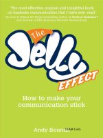 the jelly effect how to make your communication stick