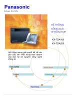 Hệ thống tổng đài IP hỗn hợp - KX-TDA100, KX-TDA200 pot