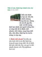 Một số sâu, bệnh hại chính trên cây tiêu potx