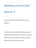 Marketing có phải là chìa khóa số 1? potx