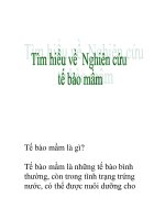 tìm hiểu về nghiên cứu tế bào nầm ppsx