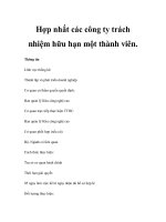 Hợp nhất các công ty trách nhiệm hữu hạn một thành viên ppsx