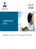 Module 1- ITA Topology & LAB TCL Script pps